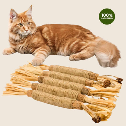 Matatabi Sticks produktfoto