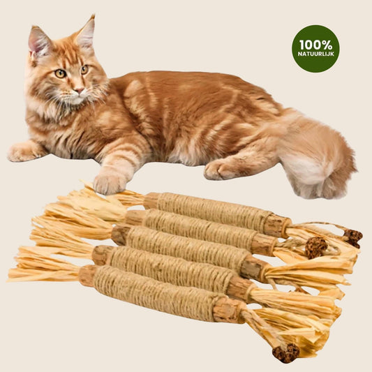 Matatabi Sticks produktfoto