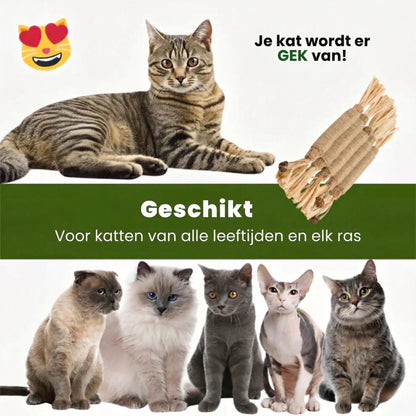 Matatabi Sticks stämningsbild
