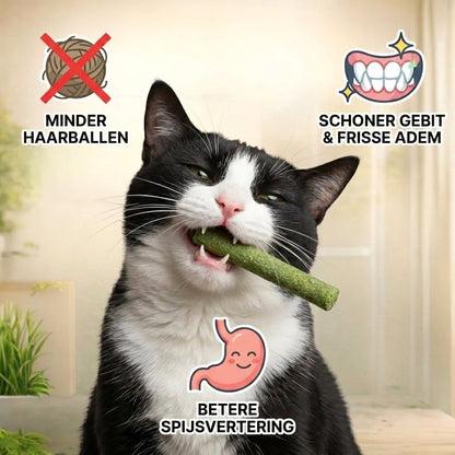 PurrGraze minskar harbollar, rengor tanderna och stodjer matsmaltningen