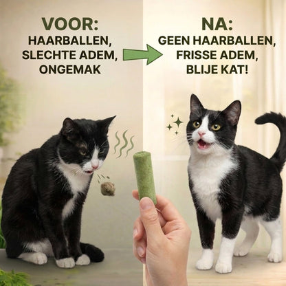 Katt fore och efter PurrGraze med farre harbollar och frisk andedrakt