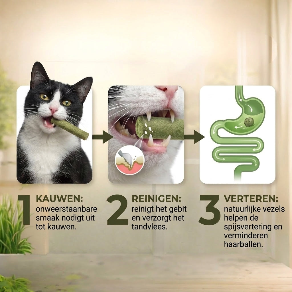 Sa fungerar PurrGraze i tre steg: tugga, rengora, smalta