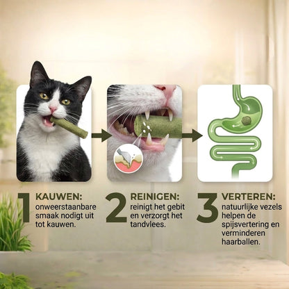 Sa fungerar PurrGraze i tre steg: tugga, rengora, smalta