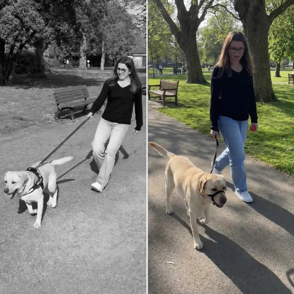 WalkEasy Antidragkoppel för hund, bild 4