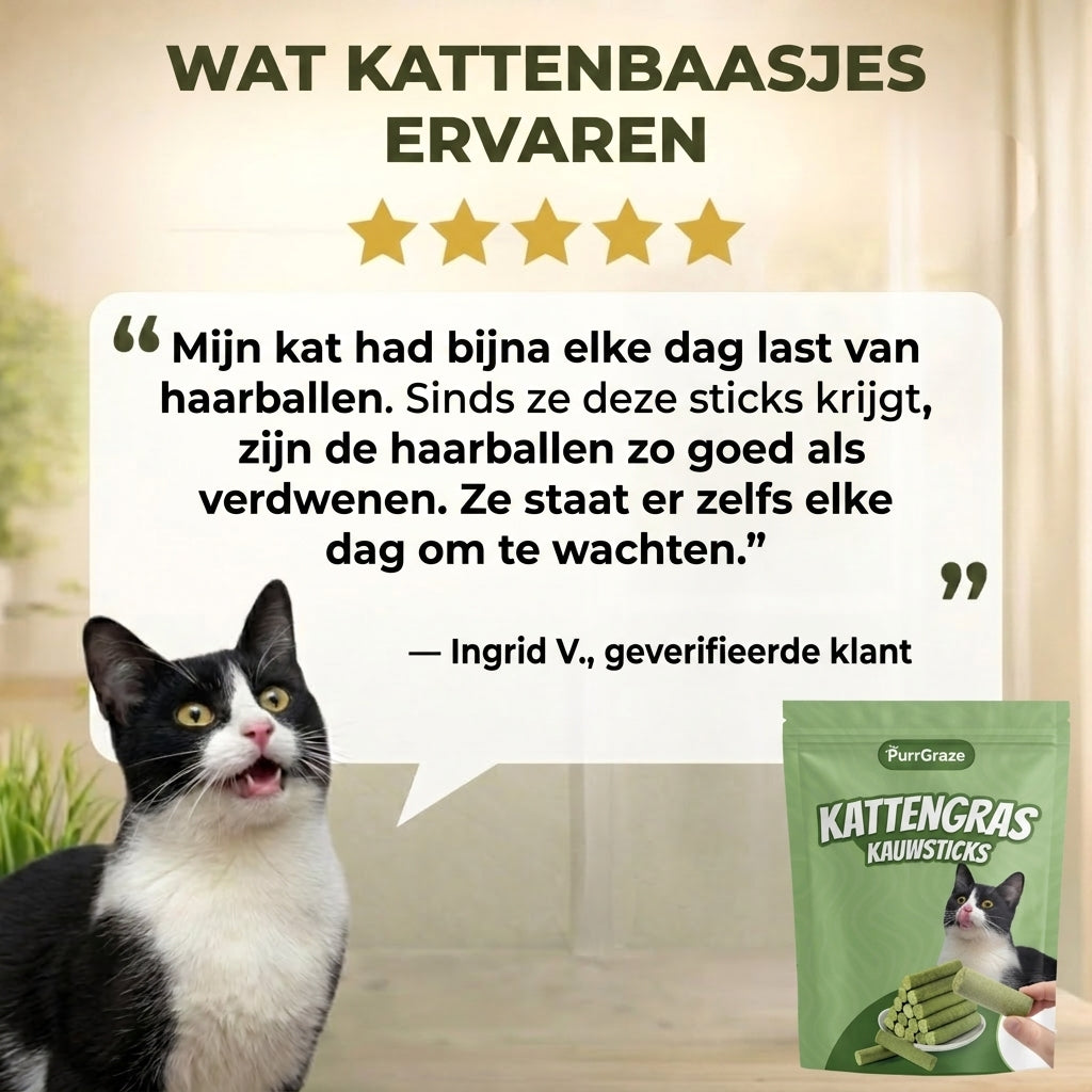 Recension fran en nojd kattagare om PurrGraze