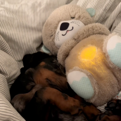 SnuggleOtter - rustgevende hartslag