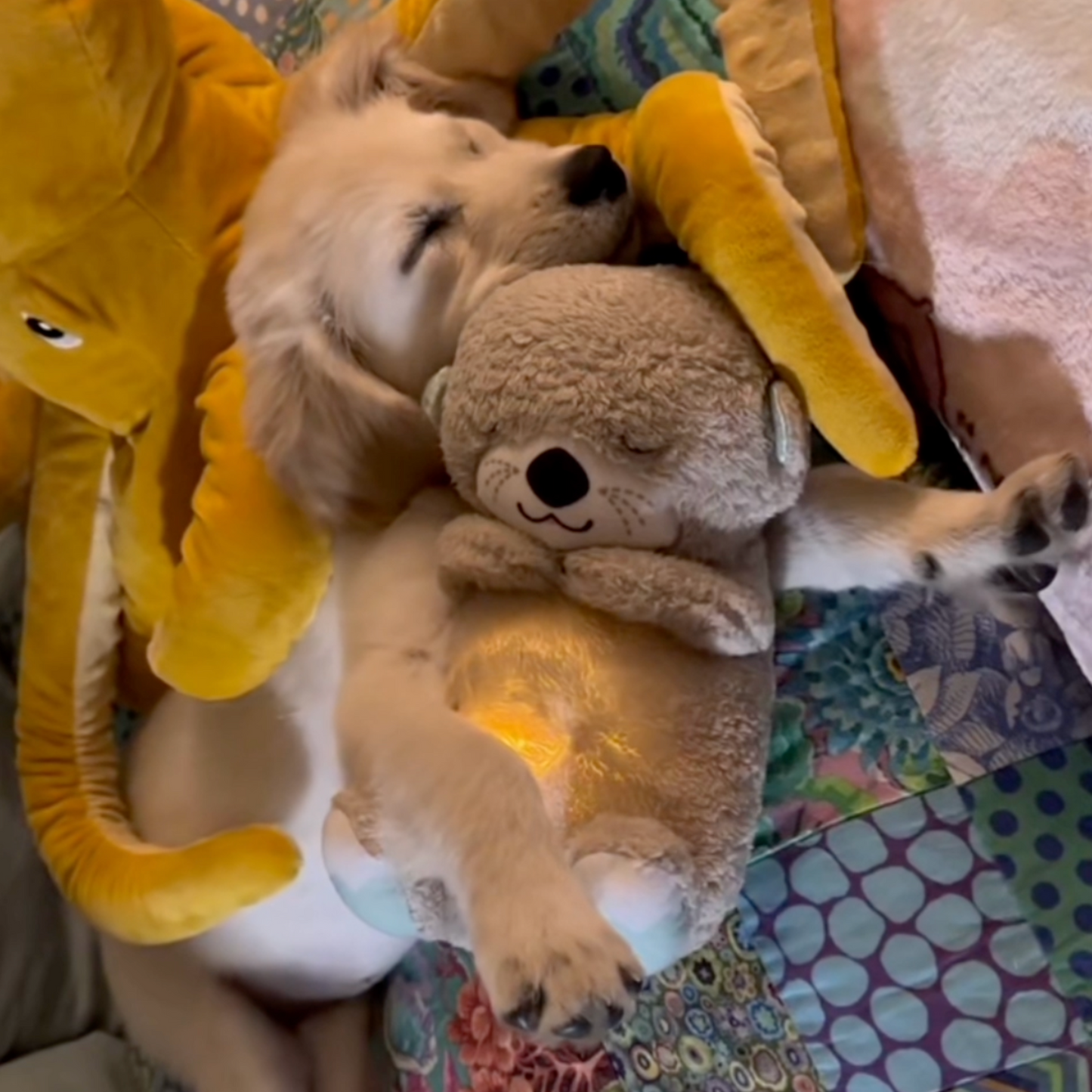 SnuggleOtter – beroligende hjertelyd