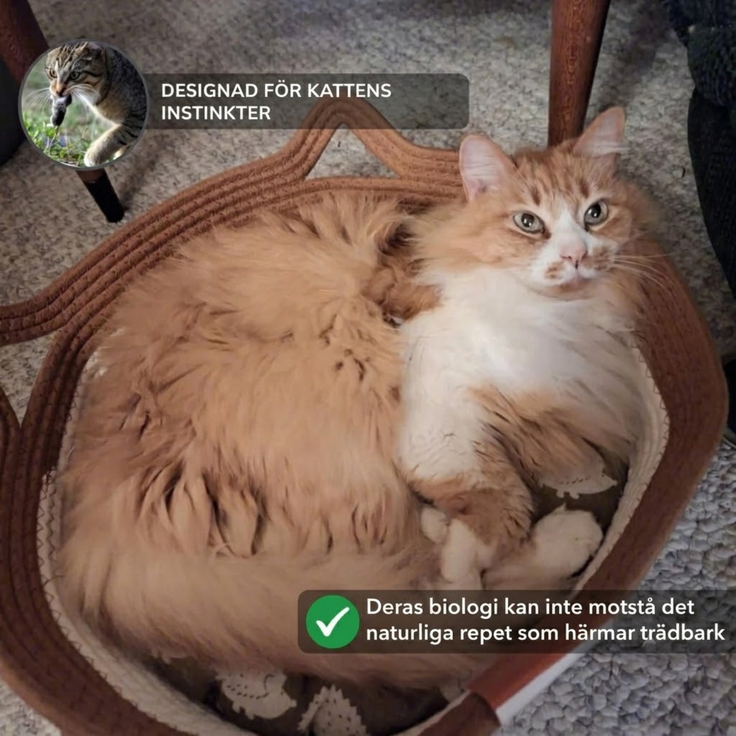 PurrNest – Den naturliga reviret som lugnar din innekatt