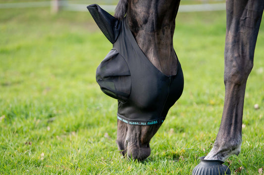 Häst med FlyShield flugmask på ängen