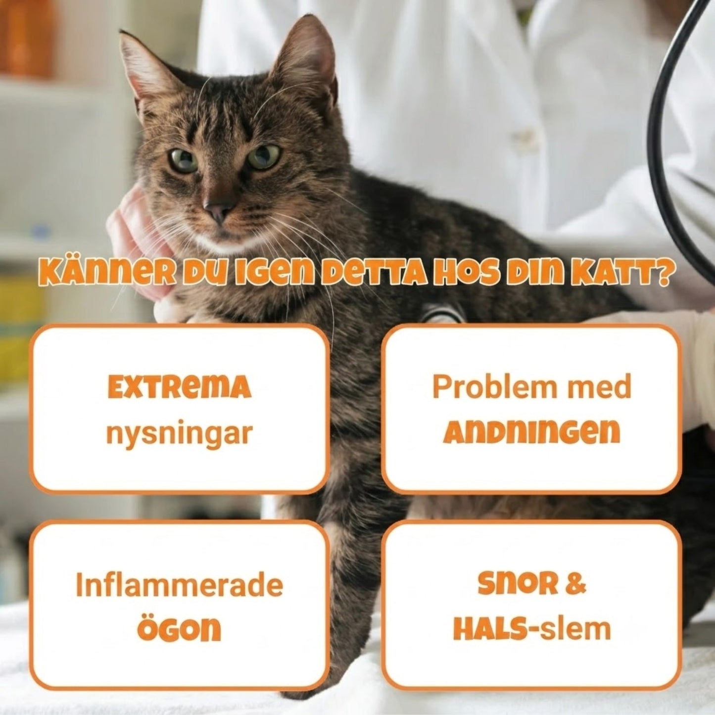 PurrSneeze – Naturligt stöd för fria luftvägar hos katt