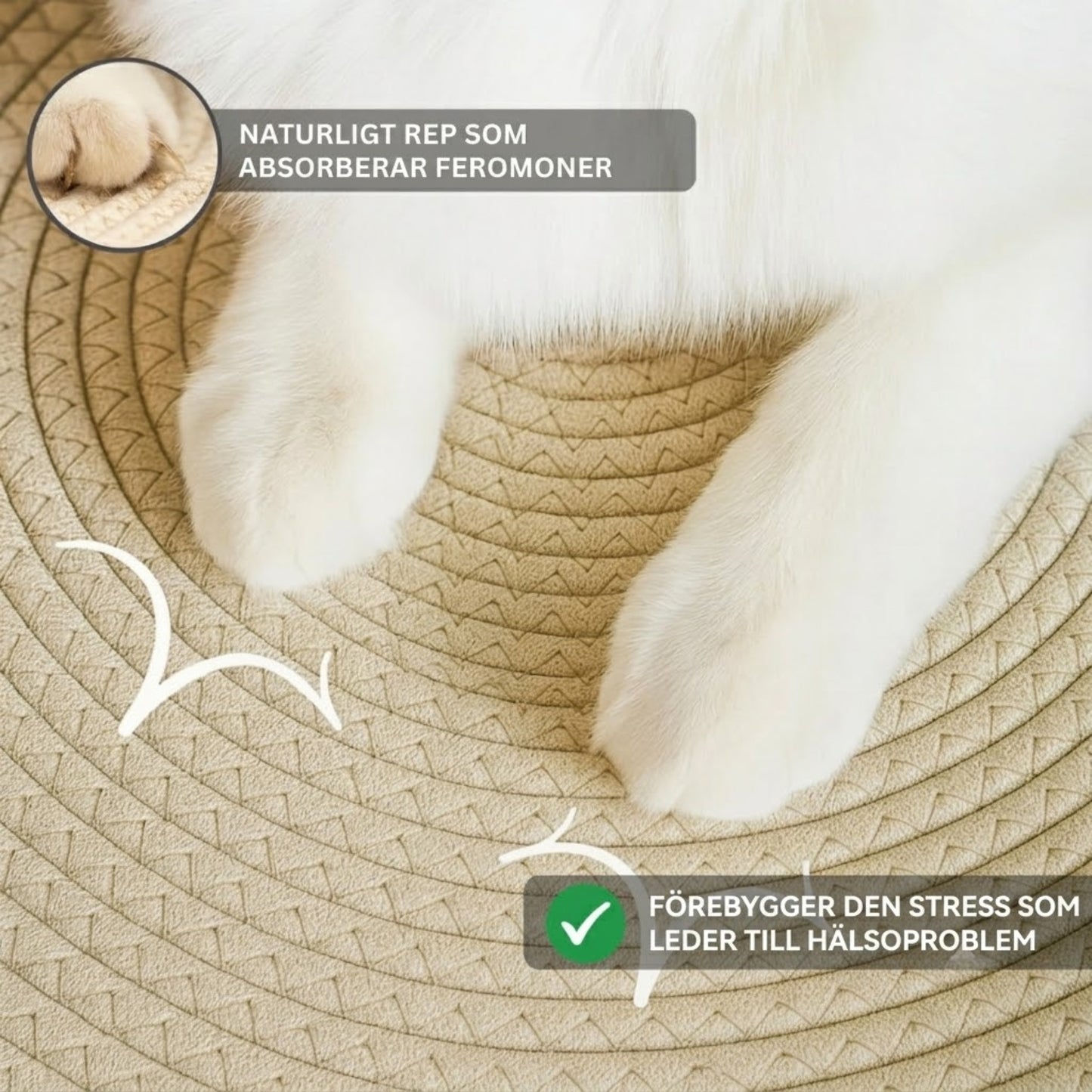 PurrNest – Den naturliga reviret som lugnar din innekatt
