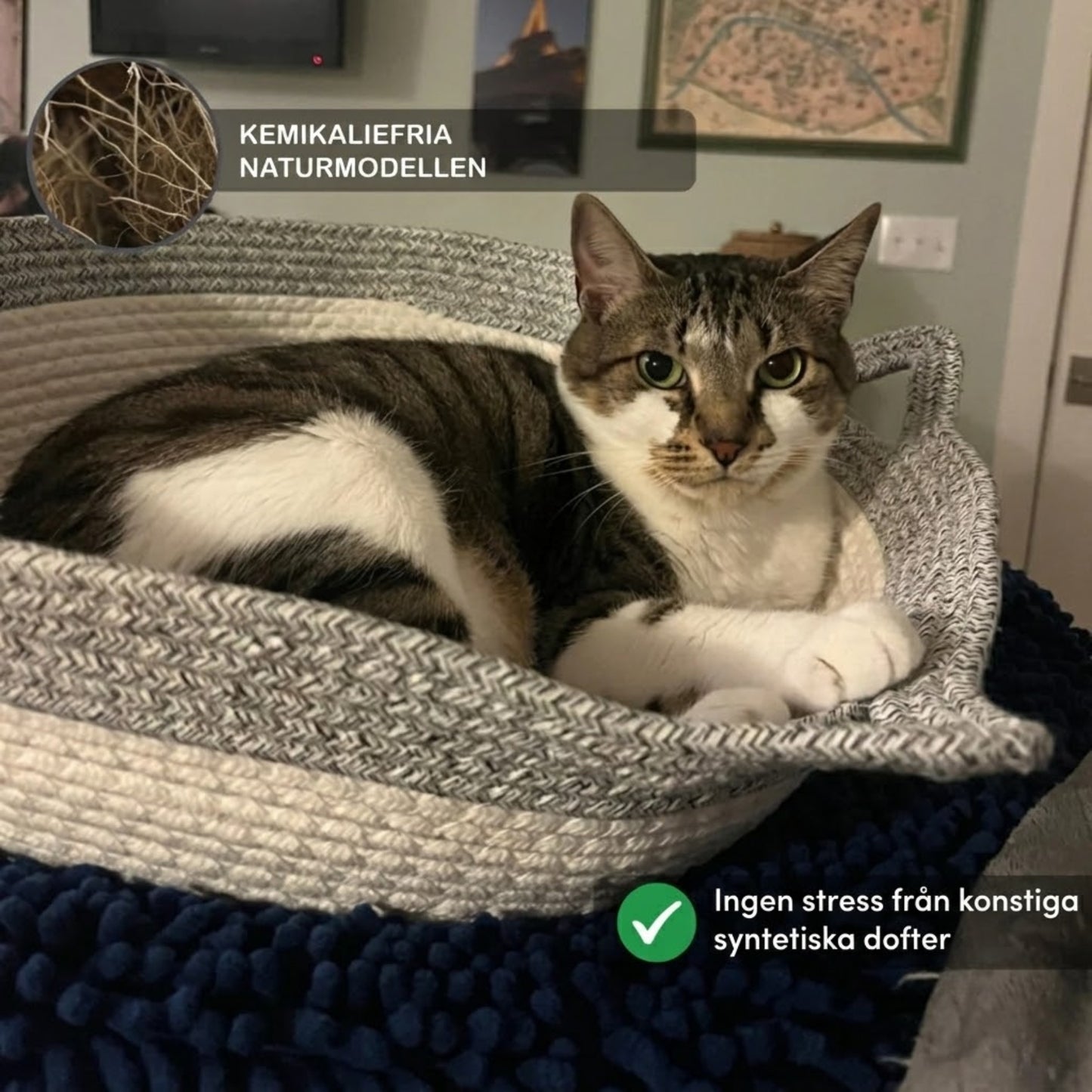 PurrNest – Den naturliga reviret som lugnar din innekatt