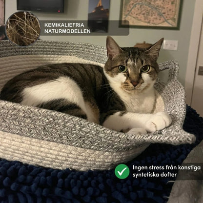PurrNest – Den naturliga reviret som lugnar din innekatt