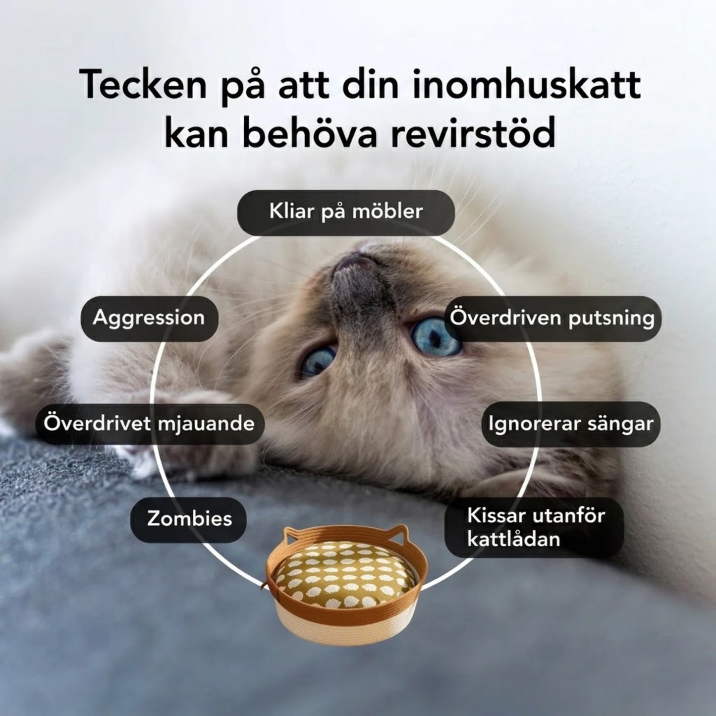 PurrNest – Den naturliga reviret som lugnar din innekatt