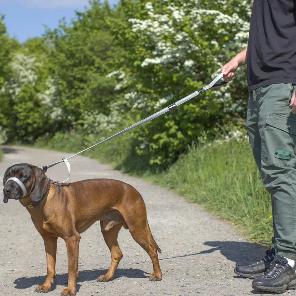 WalkEasy Antidragkoppel för hund, bild 6