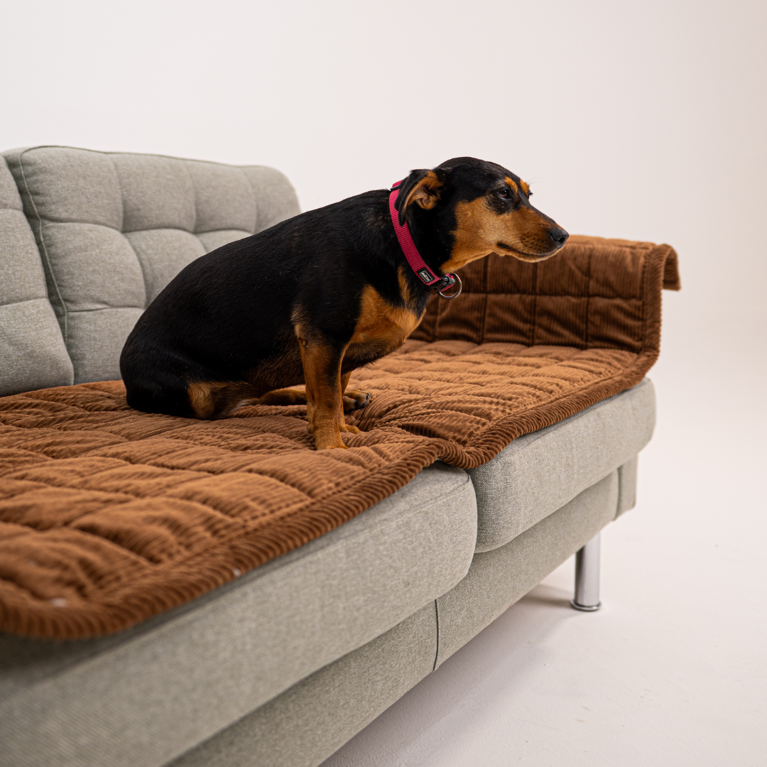 CouchShield soffskydd