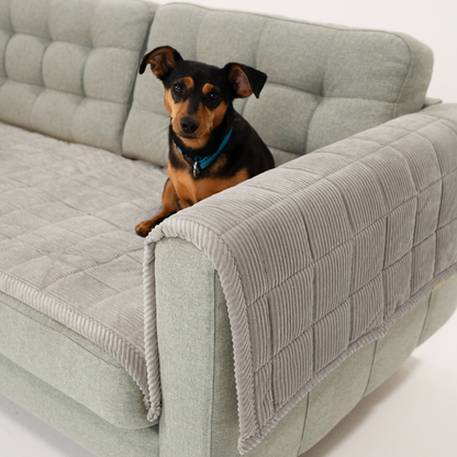 CouchShield soffskydd för hund
