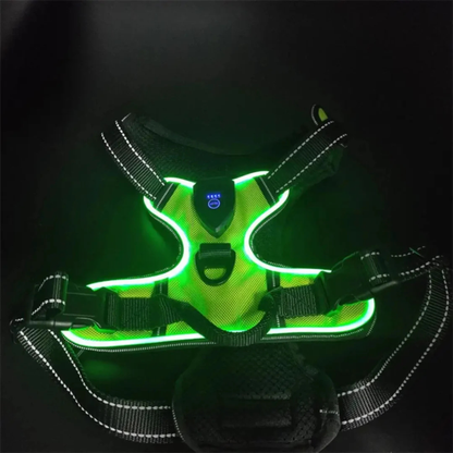 GlowGuard justerbar sele
