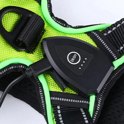 GlowGuard hundesele detalje