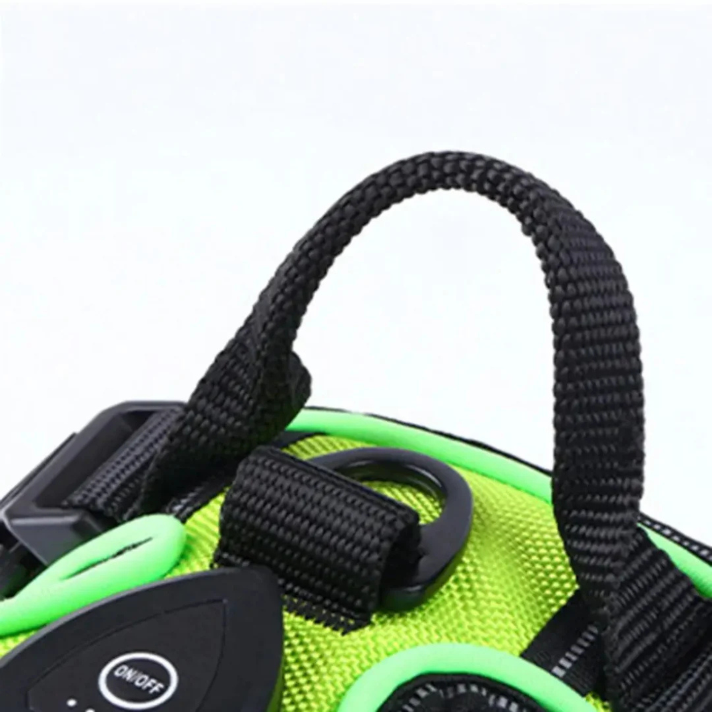 Hund med GlowGuard LED-sele