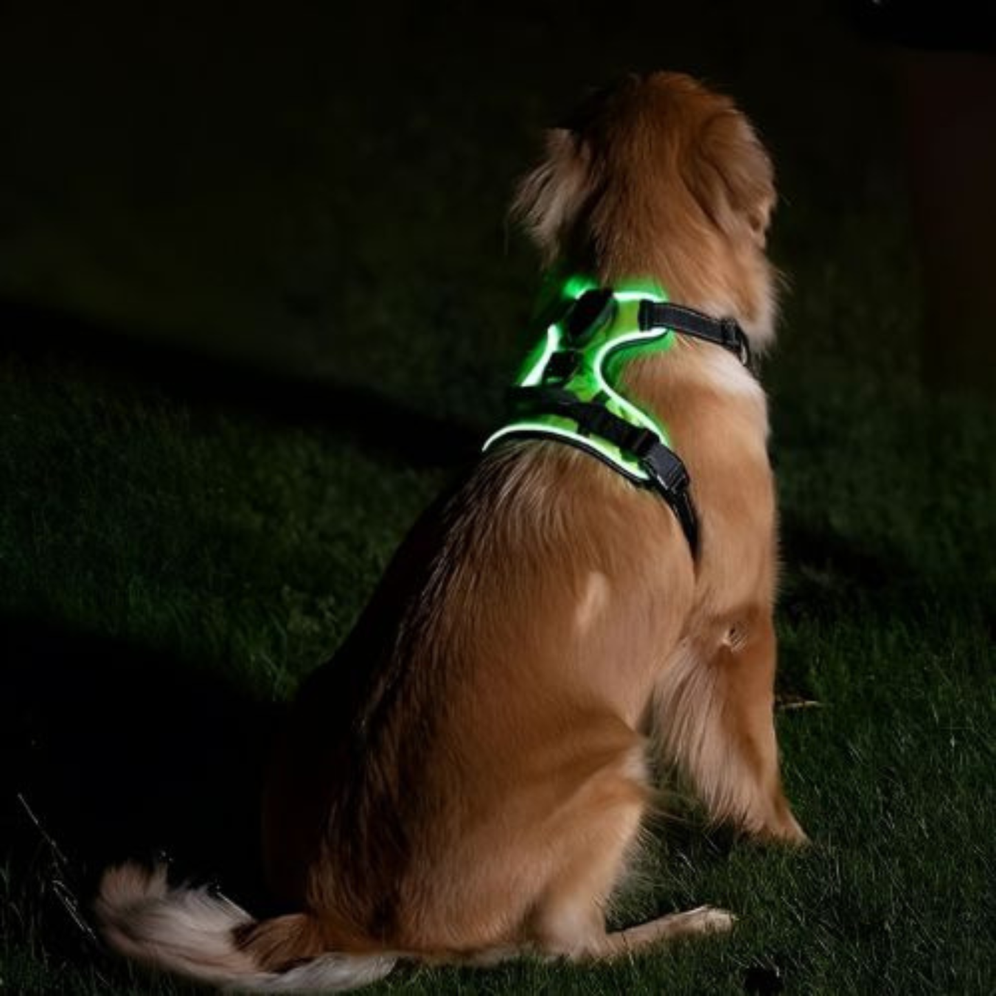 GlowGuard sele USB-opladning