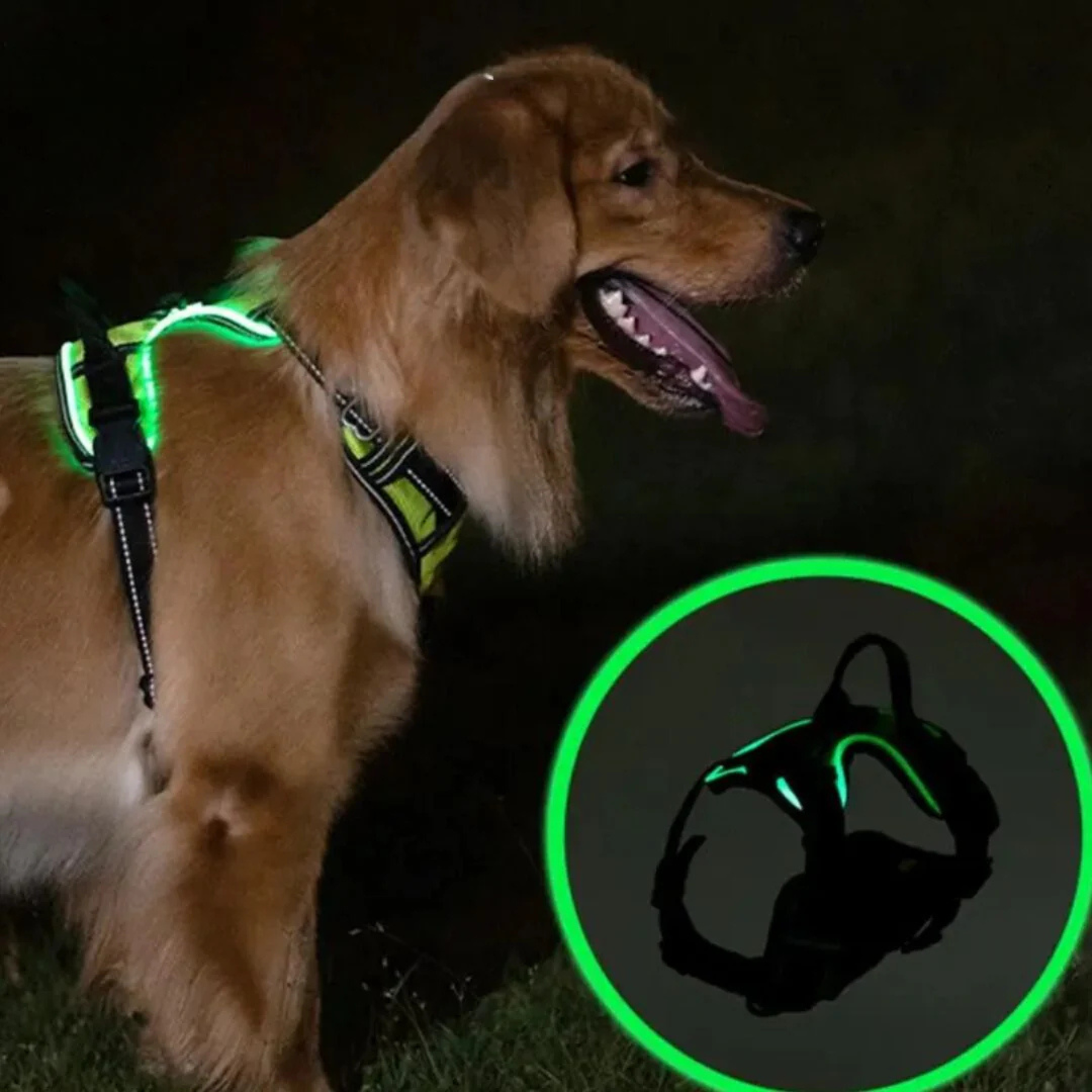 GlowGuard lysende hundesele