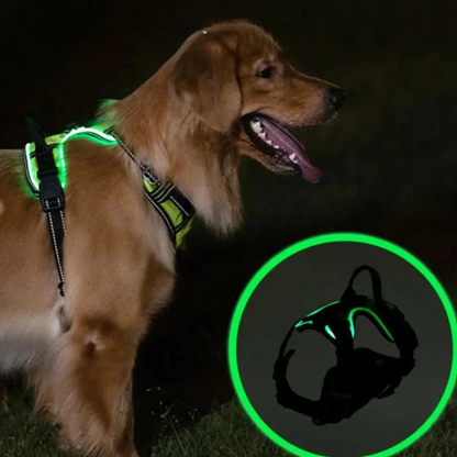 GlowGuard lysende hundesele