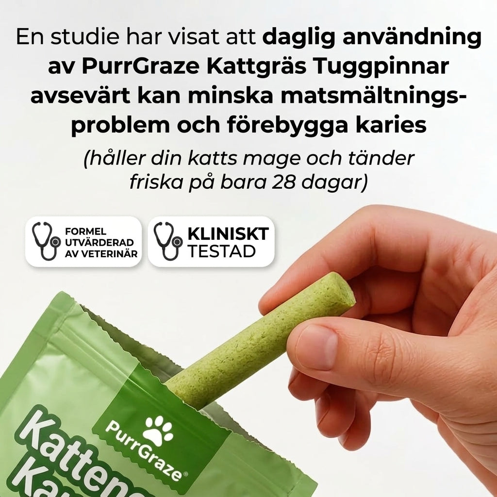 PurrGraze - Naturligt tuggnöje för kattens tänder