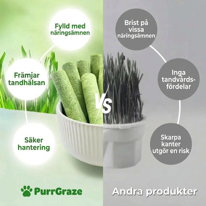 PurrGraze - Naturligt tuggnöje för kattens tänder