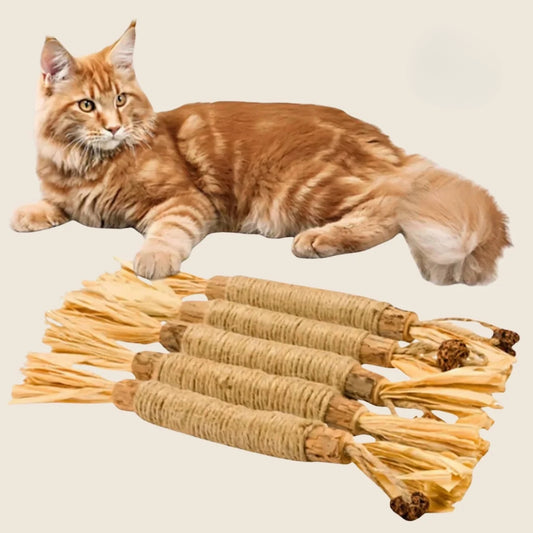 Matatabi Sticks - Naturliga Tuggpinnar för Katter