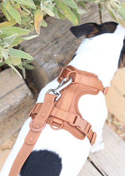 StrollReady Brun detalj D-ring