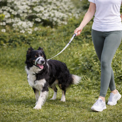 WalkEasy Antidragkoppel för hund, bild 8