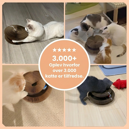 KattenWervel – Interaktiv kradsetallerkен der holder din kat beskæftiget i timevis
