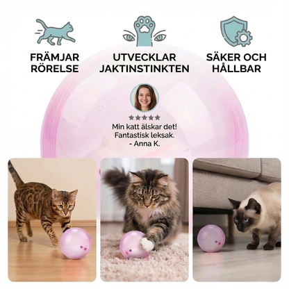 HamsterRul – Hamsterkuglen katte ikke kan modstå