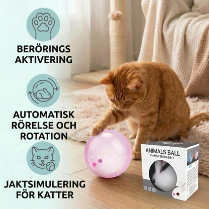 HamsterRul – Hamsterkuglen katte ikke kan modstå