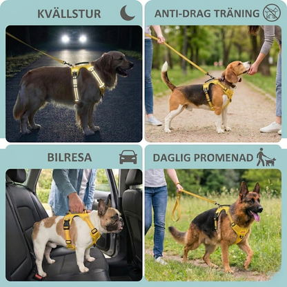 SafeWalk – Reflekterande antidrag-sele för trygga promenader