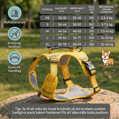 SafeWalk – Reflekterande antidrag-sele för trygga promenader