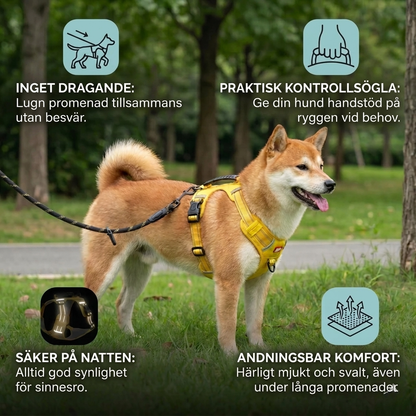 SafeWalk – Reflekterande antidrag-sele för trygga promenader