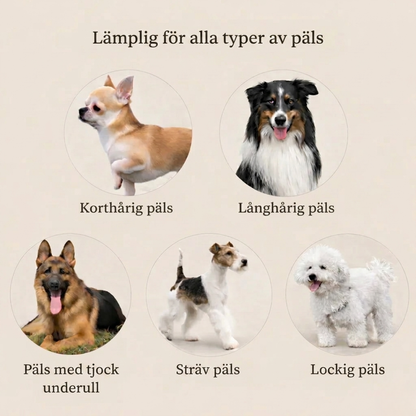 FurEase™ – Filtborttagare & vårdborste för hund och katt