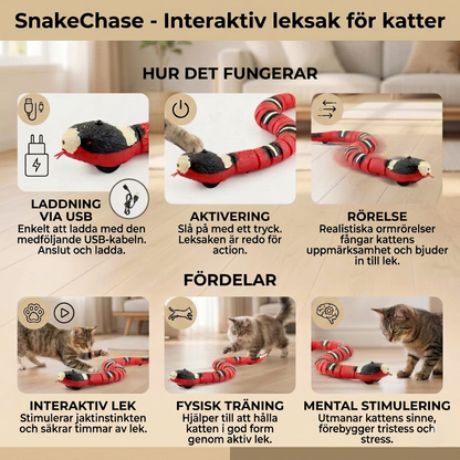 SnakeChase – Interaktivt Slange Kattelegetøj