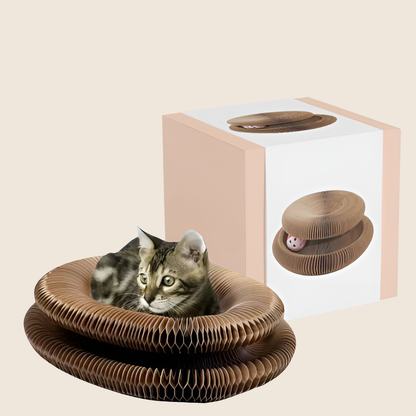 KattenWervel interaktiv kradsetallerkен