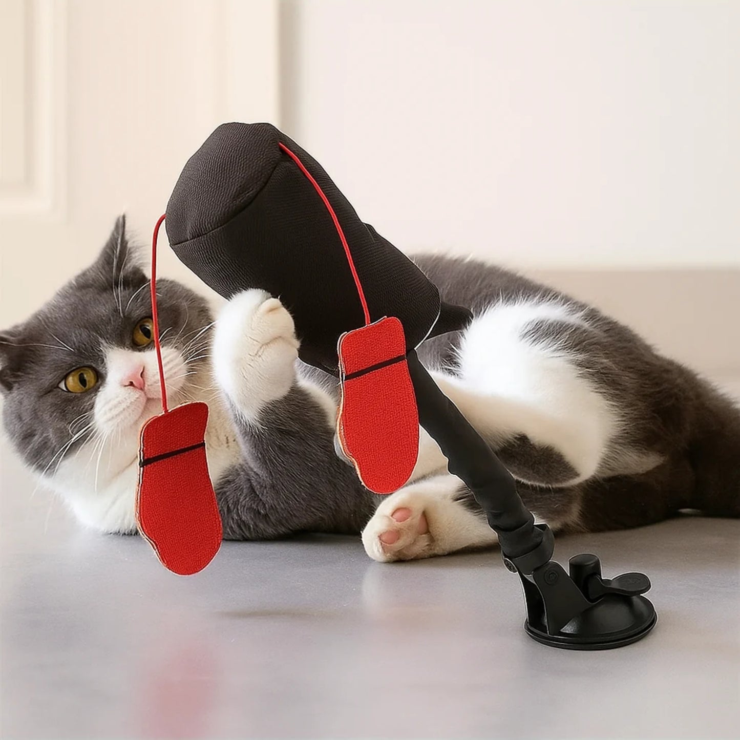 Katt leker liggande med PawPunch på golvet