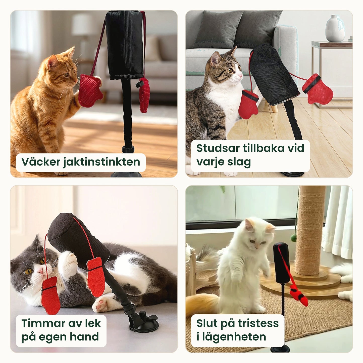 PawPunch fyra fördelar för din katt