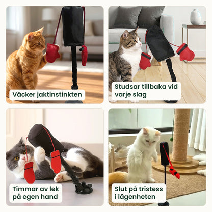 PawPunch fyra fördelar för din katt