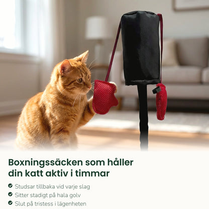 PawPunch boxningssäck som håller katten aktiv