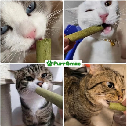 PurrGraze - Naturligt tuggnöje för kattens tänder