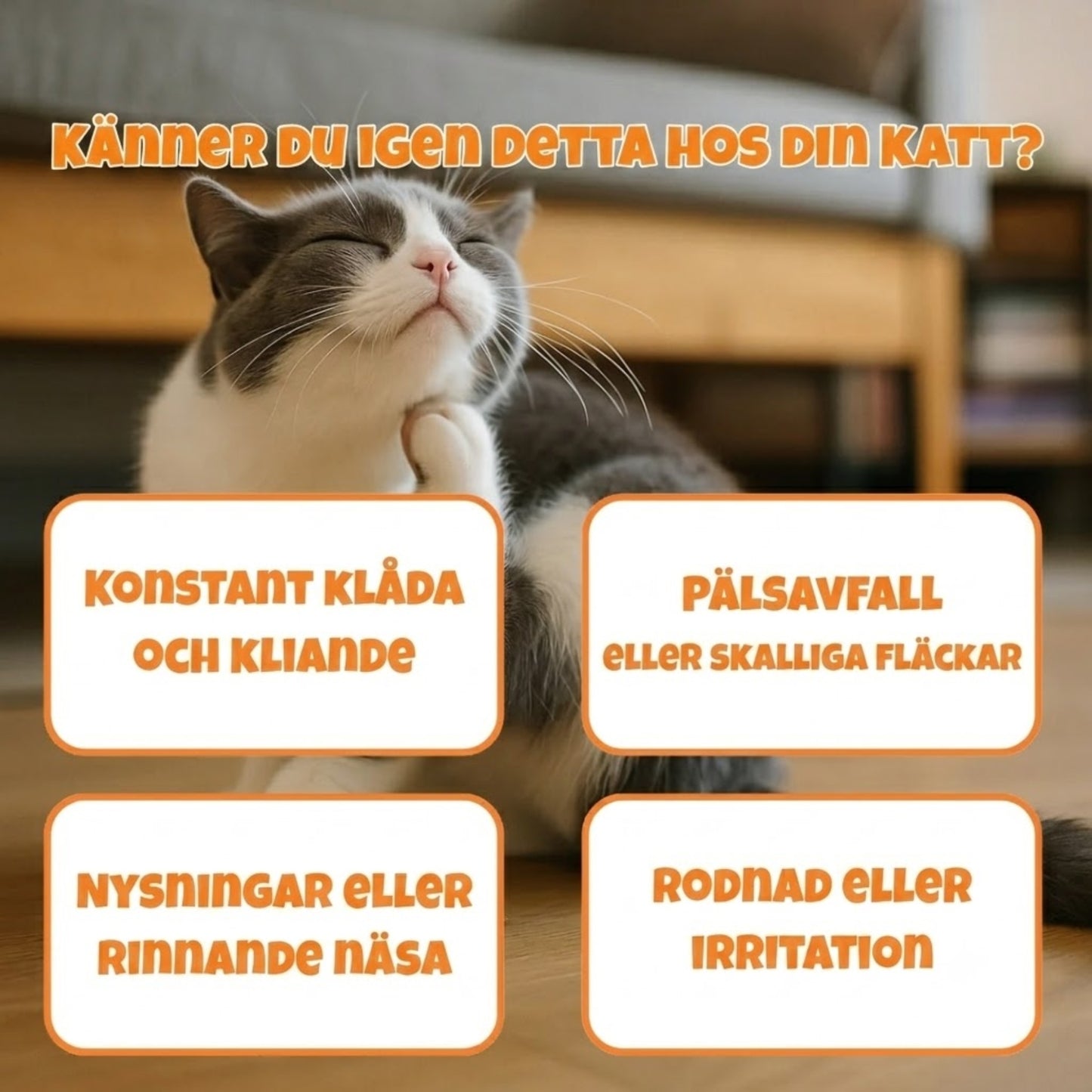 PurrShield – naturligt stöd vid klåda och känslig hud