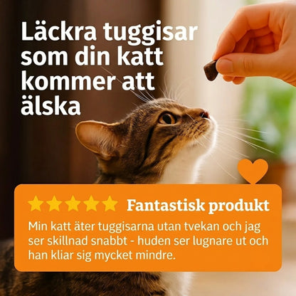 PurrShield – naturligt stöd vid klåda och känslig hud