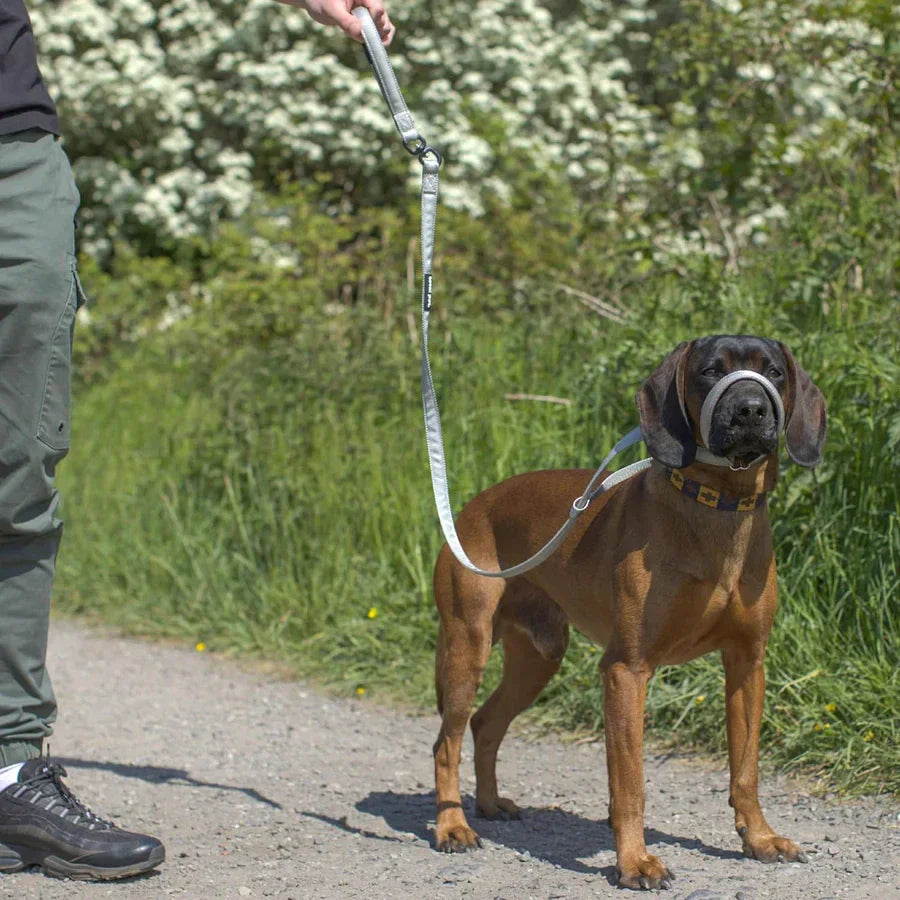 WalkEasy Antidragkoppel för hund, bild 7