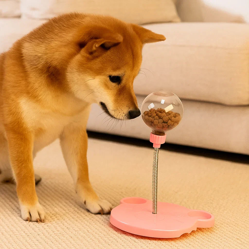 Hund leger med WobbleSnack
